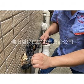 南边镇建筑灭治白蚁工程