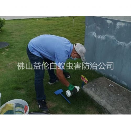 芦苞灭除红火蚁工程