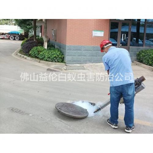 河口杀灭蟑螂蚊蝇工程