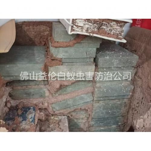 三水防治白蚁危害工程