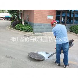 河口杀灭蟑螂蚊蝇工程