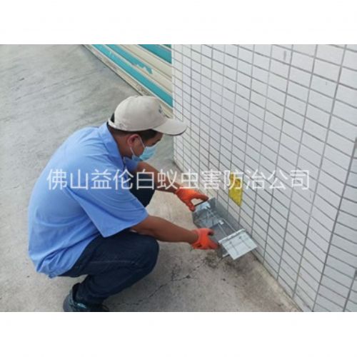 南山厂区布置鼠笼防控监测工程
