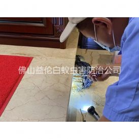 大塘装置诱杀箱监测白蚁工程